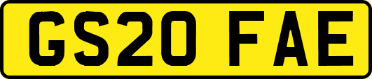 GS20FAE
