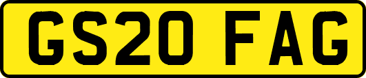 GS20FAG