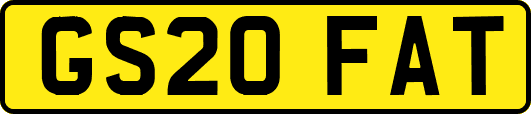 GS20FAT