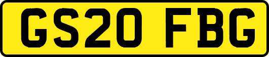 GS20FBG