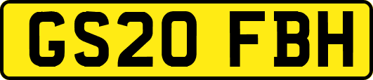 GS20FBH
