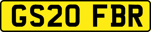 GS20FBR