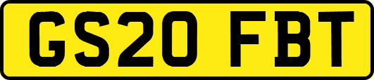 GS20FBT