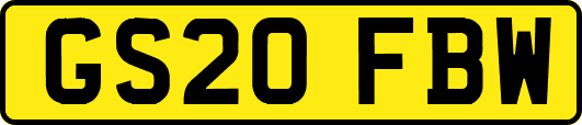 GS20FBW