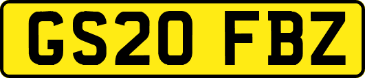 GS20FBZ