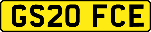 GS20FCE