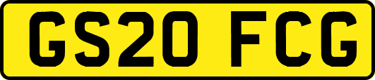GS20FCG