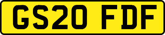 GS20FDF