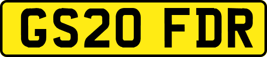 GS20FDR