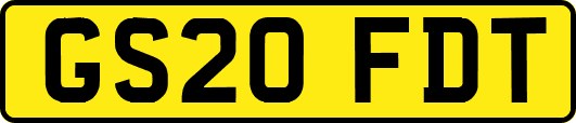 GS20FDT