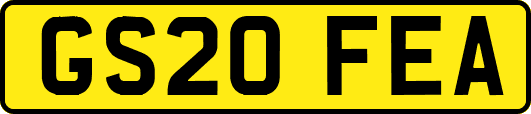 GS20FEA