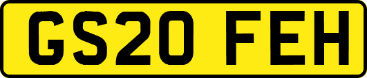 GS20FEH