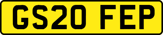 GS20FEP