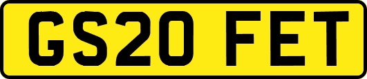 GS20FET