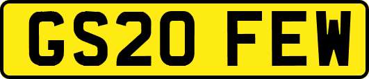 GS20FEW