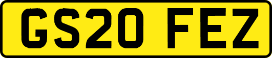 GS20FEZ