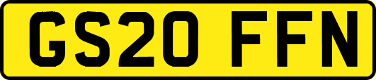 GS20FFN