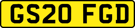 GS20FGD
