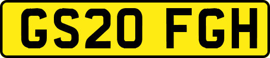 GS20FGH