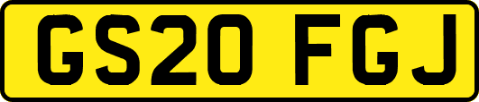 GS20FGJ