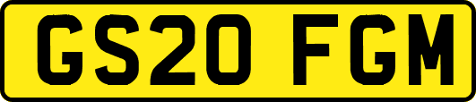 GS20FGM
