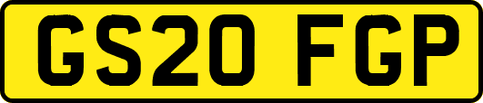 GS20FGP