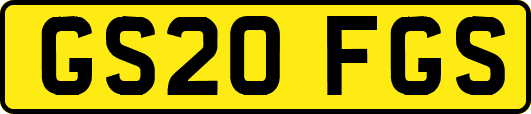 GS20FGS
