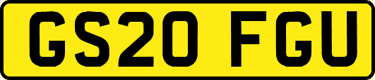 GS20FGU