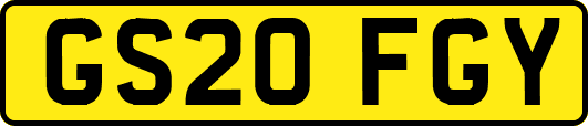 GS20FGY