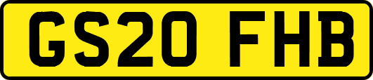 GS20FHB