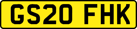 GS20FHK