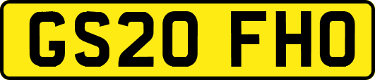 GS20FHO