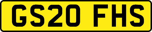 GS20FHS