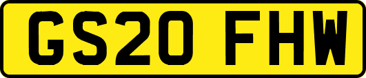 GS20FHW