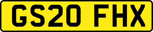 GS20FHX