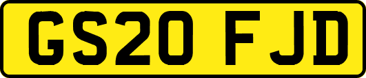 GS20FJD