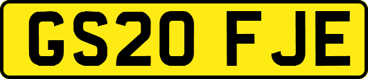 GS20FJE