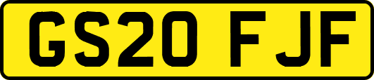 GS20FJF
