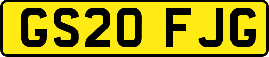 GS20FJG