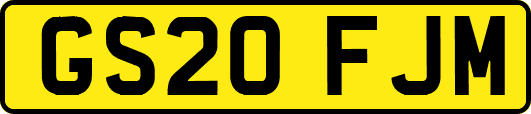 GS20FJM