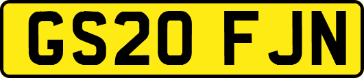 GS20FJN