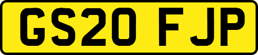 GS20FJP
