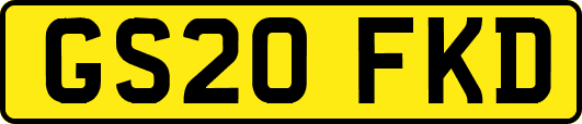 GS20FKD