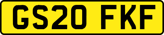 GS20FKF