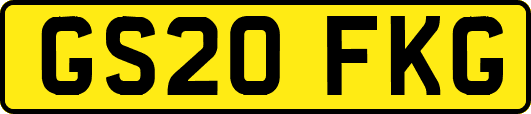 GS20FKG