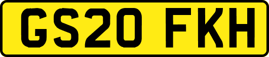 GS20FKH