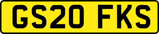 GS20FKS