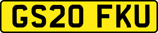 GS20FKU