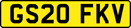 GS20FKV