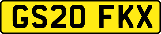 GS20FKX